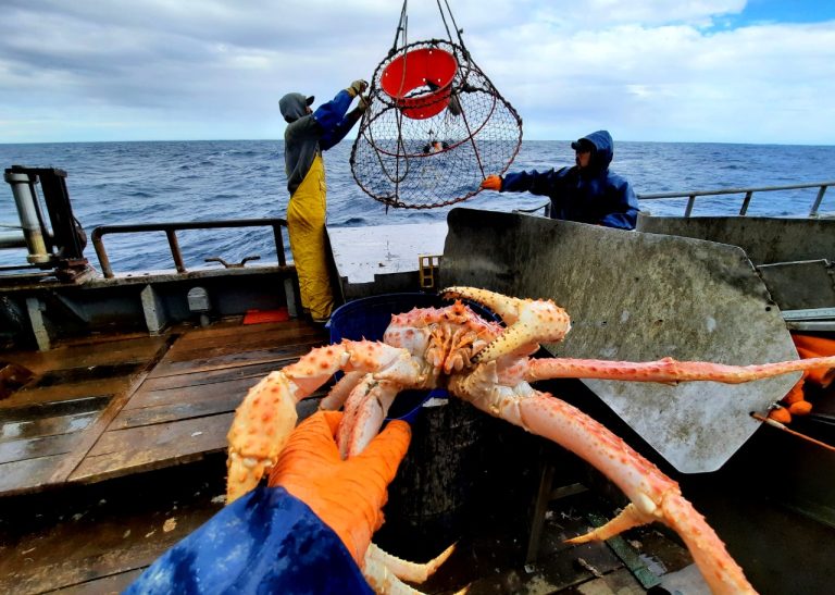 Estados Unidos de Norteamérica fue destino de las exportaciones de Merluza Negra y Centolla Argentina