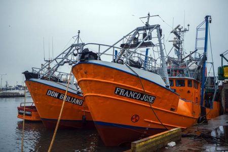 La Asociación de Capitanes llamó a la reflexión por situación pesquera de Chubut