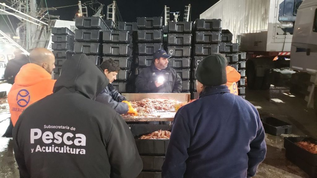 Langostino. En una zafra mas prolija, se inicia una nueva prospección