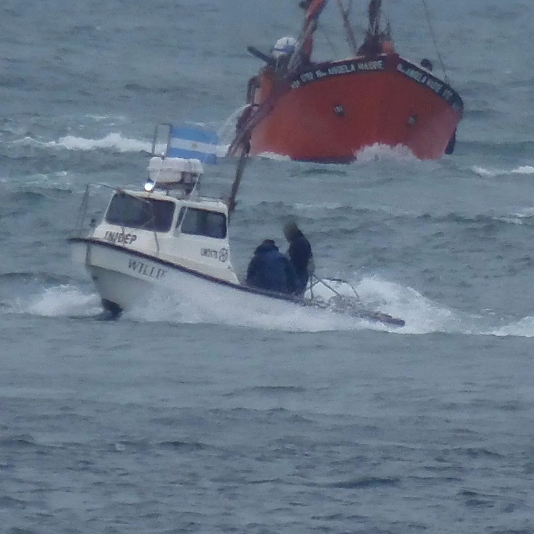 Nueva campaña de marcación del Gatuzo