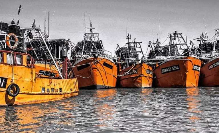 Proyecto de LEY. Der贸gase las Leyes I-620, I-627, I-658 y normas complementarias. FIN AL FAP