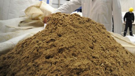 Harina de Pescado, una industria con amplio desarrollo y demanda sostenida