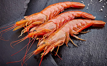 Consejo Federal Pesquero. Sesi贸n semanal, Acta Nro. 7/2023