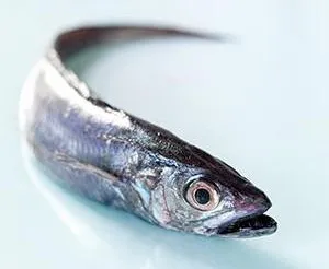 Consejo Federal Pesquero. Sesión semanal, Acta Nro.32/22