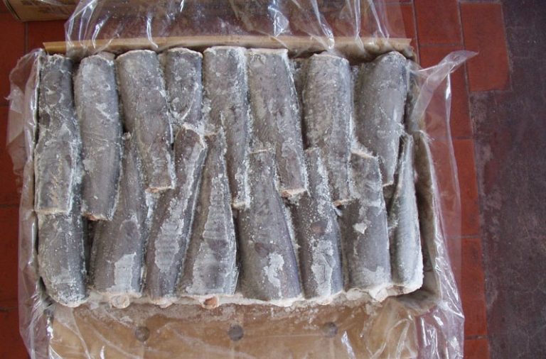 Consejo Federal Pesquero. Sesi贸n semanal, Acta Nro. 13/2023