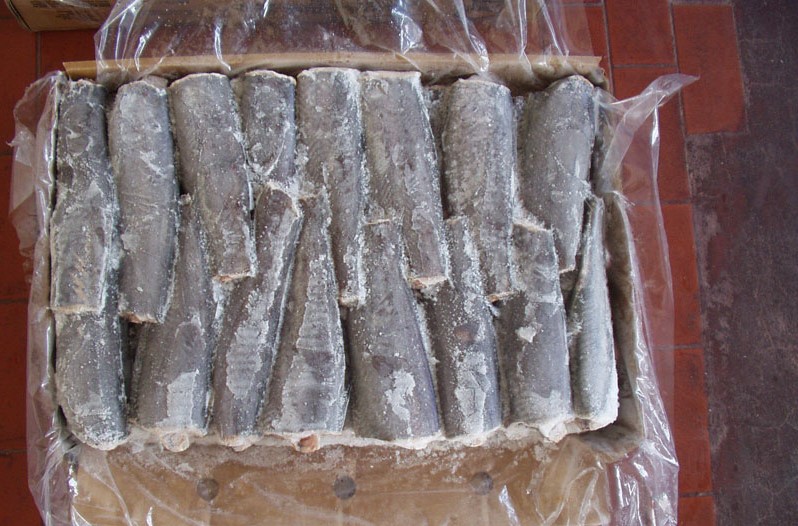 Consejo Federal Pesquero. Sesión semanal, Acta Nro. 13/2023