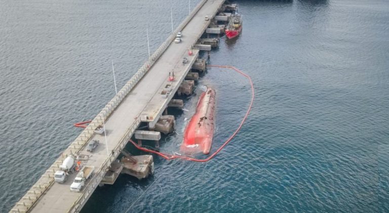 Repercusiones del BP Pescargen IV hundido en Madryn