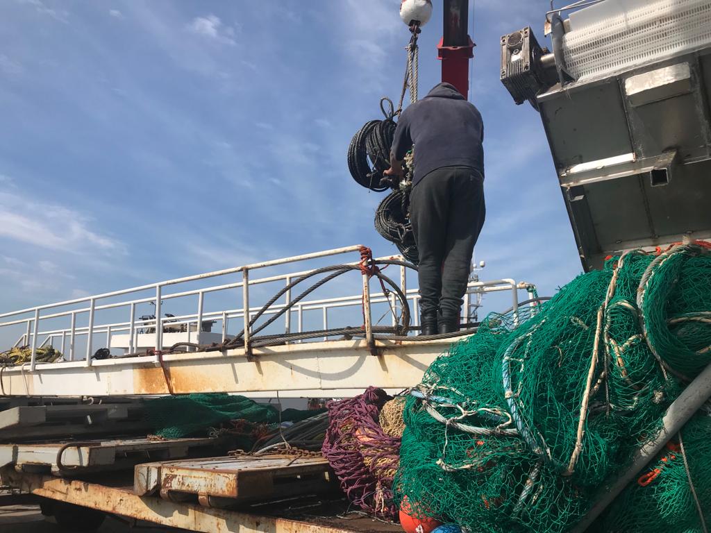 Cierran zonas de pesca por presencia de merluza y juveniles de langostino. ¿va llegando el fin de la zafra?