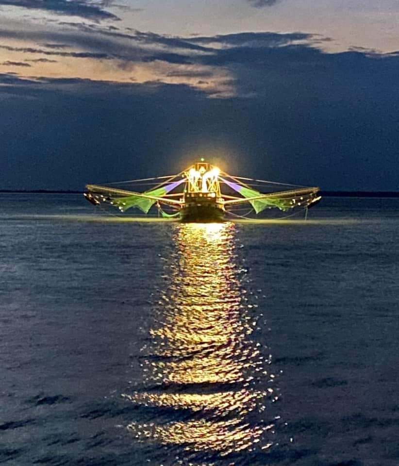 Langostino. Abren una nueva subárea de pesca