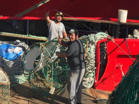 Centolla. Todo preparado para una nueva campaña