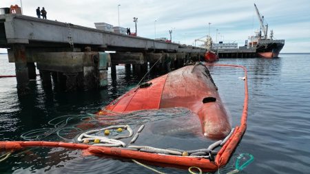 CFP aprueba nuevo permiso de pesca de gran altura y cambio de titularidad