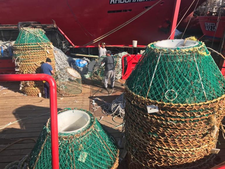 La flota comercial centollera, evaluará el recurso en cuatro áreas de manejo