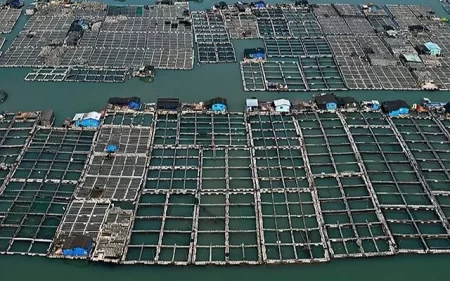 China. SequÃa, consumo y precios, impacta en mercado de cultivo