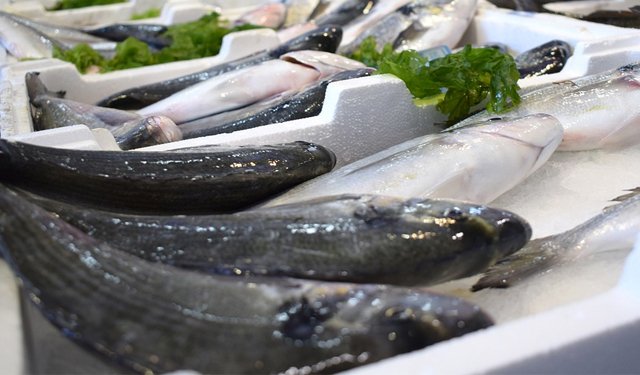 El consumo mundial de Pescados y Mariscos crecerá un 20% para el año 2030 -  Pescare