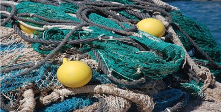 Un mundo que apunta a bajar el impacto ambiental