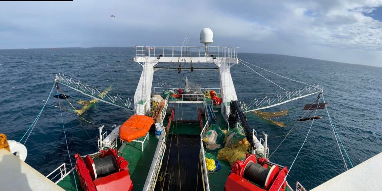 Langostino. Finalizaci贸n anticipada de la Sub谩rea 10 y 11; ahora, prospectan la Sub谩rea 12 y 13