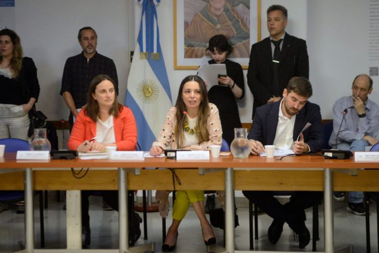 Preocupante. Embates ambientalistas en la Comisi贸n de Intereses Mar铆timos de la C谩mara de Diputados de la Naci贸n