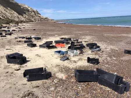 Limpian residuos pl谩sticos, envases y cajones en la costa de Playa Cormoranes sobre aguas del Golfo Nuevo, Pen铆nsula de Vald茅s