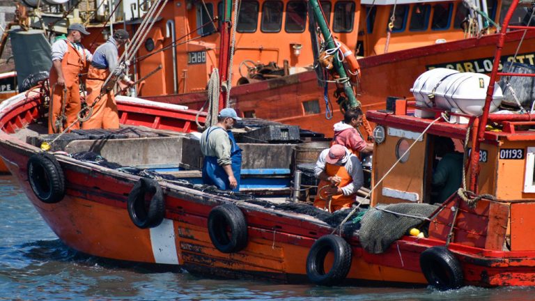 21 de Noviembre, DÃa Mundial de la Pesca