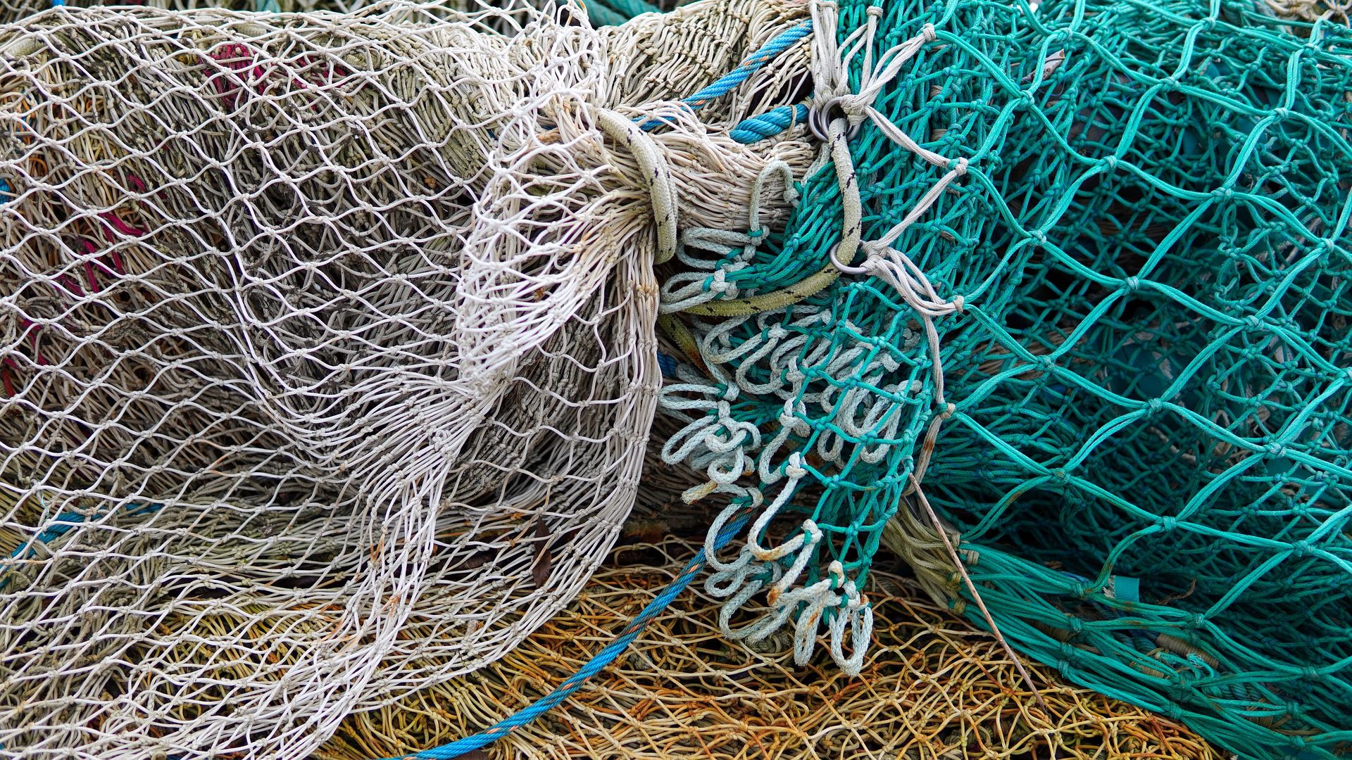 Trazabilidad en redes de pesca - Pescare, red de pesca