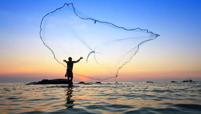 Incentivan el consumo de pescado mediante el evento 芦tirando redes禄