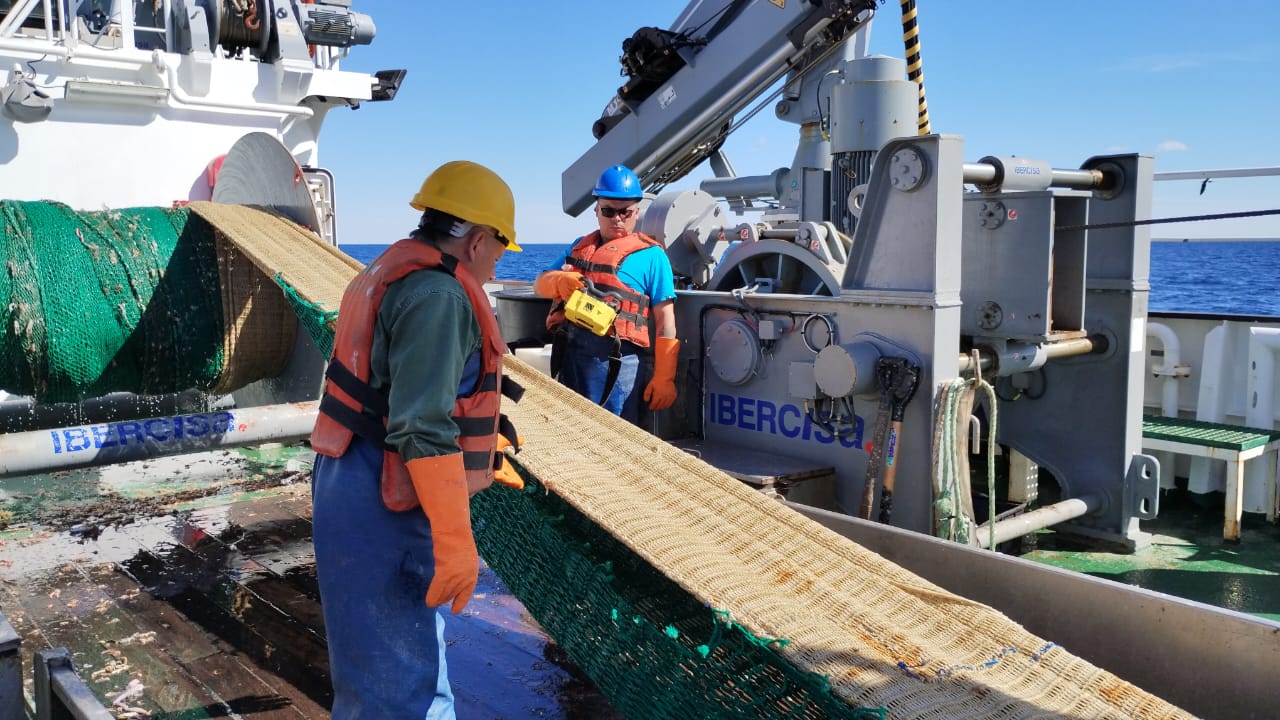 El BIP Mar Argentino investiga Condrictios en Zona Común de Pesca