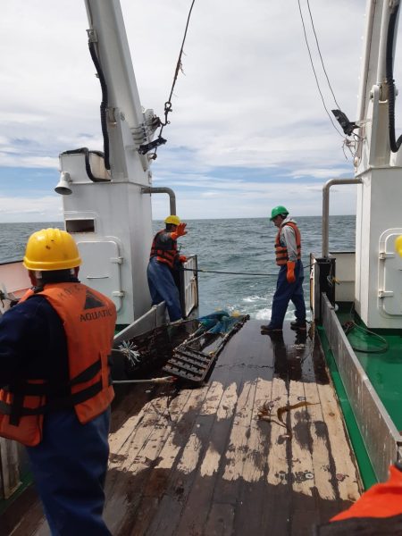 BIP Mar Argentino. Transcurre sin inconvenientes la campa帽a de relevamiento del estado del langostino en el Golfo San Mat铆as