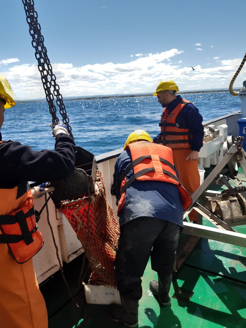 Finalizó la campaña de evaluación de caballa en El Rincón: nuevos datos para la Conservación Pesquera