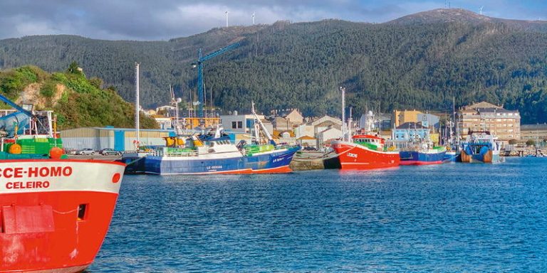 XXVI Jornadas de Pesca en Celeiro, España