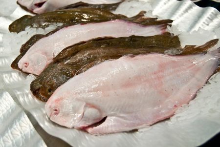 La Comisi贸n T茅cnica Mixta, dispuso medidas para la conservaci贸n del Lenguado