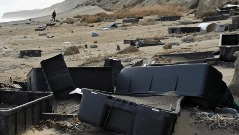 Preocupaci贸n de las autoridades de Chubut por residuos pl谩sticos en playas, provenientes del sector pesquero