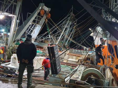 El langostino impulsa descargas en Rawson. Datos oficiales primera quincena de febrero