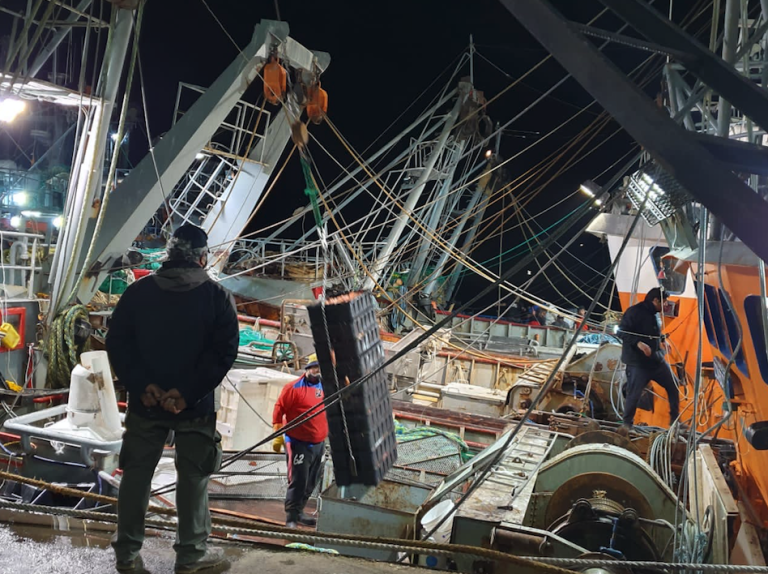 El langostino impulsa descargas en Rawson. Datos oficiales primera quincena de febrero