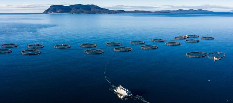 La canadiense Cooke Seafood Inc, hace una oferta en firme por la compra de todas las acciones de la Australiana Tassal