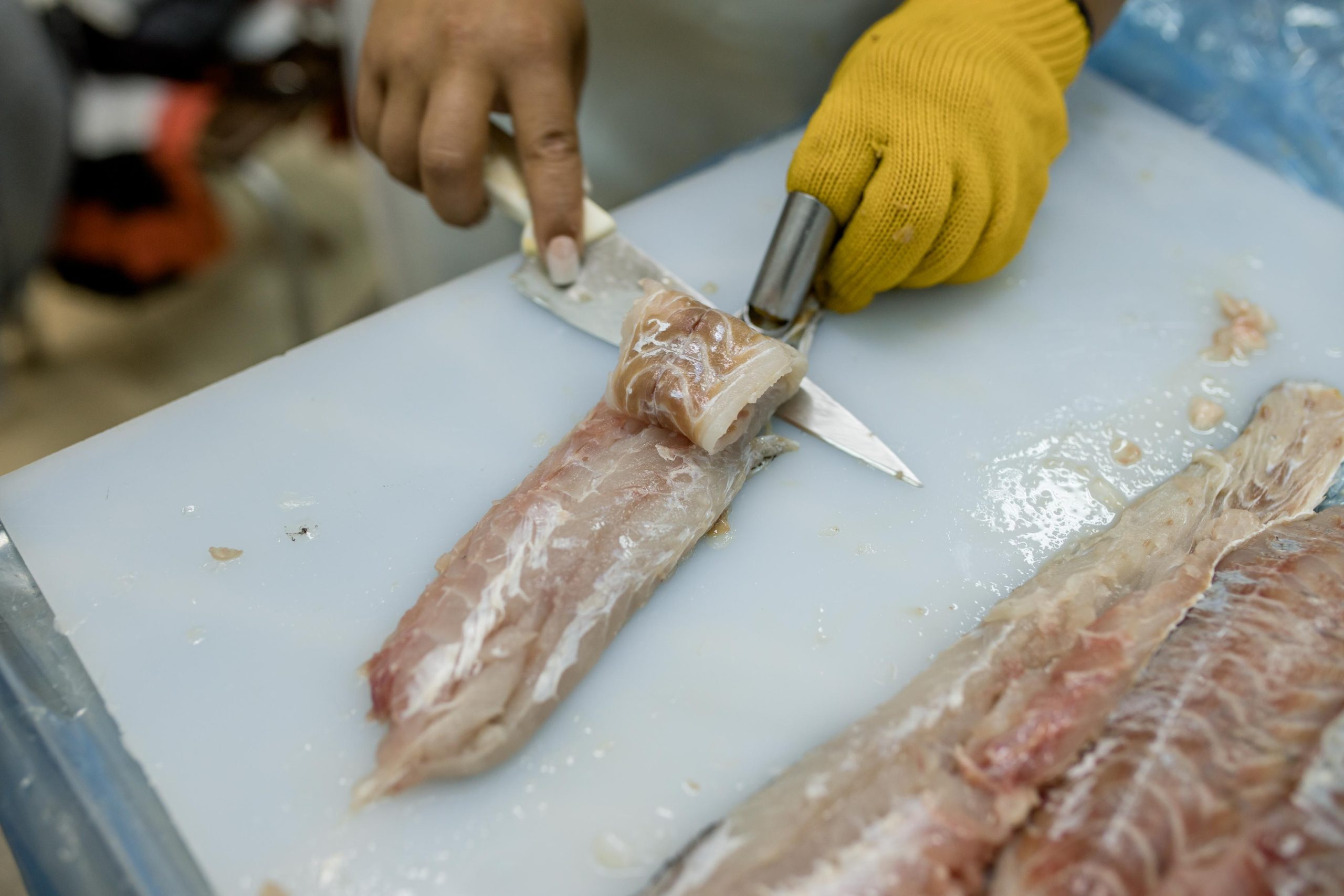 Finalizó un nuevo curso de procesamiento y fileteado  de Pescados
