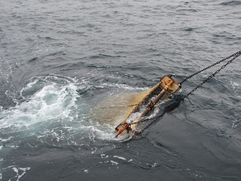 Se dict贸 la Conciliaci贸n Obligatoria en el conflicto sobre la pesquer铆a de vieira