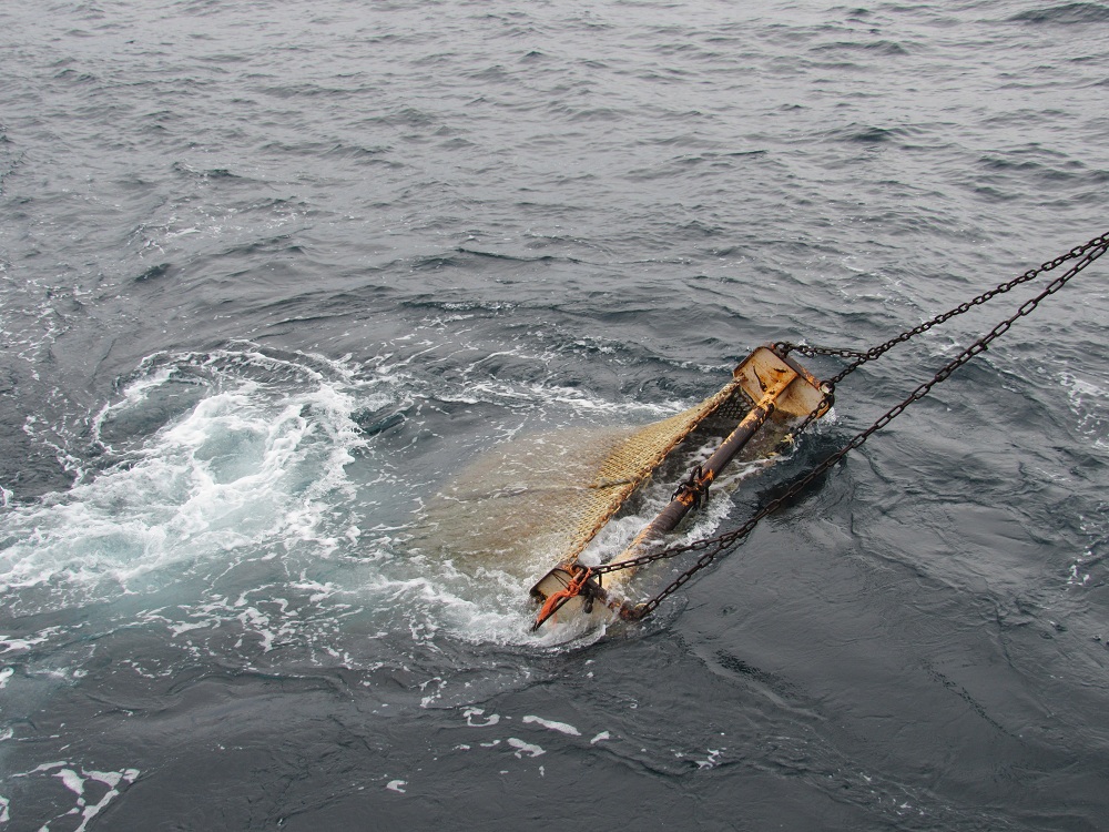 El BIP Víctor Angelescu comenzó la campaña de evaluación de vieira patagónica en la unidad de manejo B