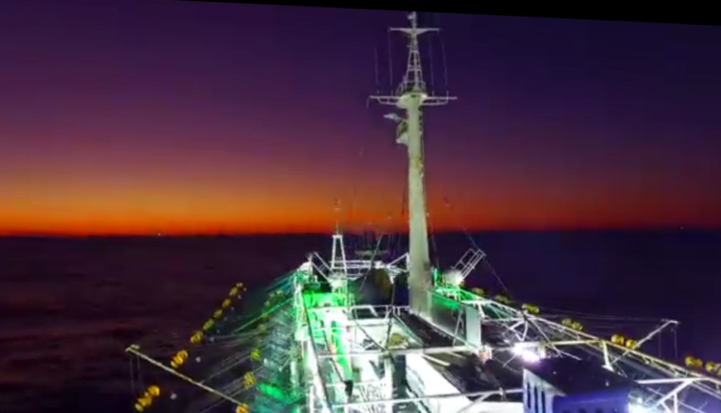 Primeros datos alentadores de captura de calamar. Abundante, en desarrollo y de calidad comercial