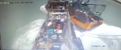 Un diciembre con suerte en el acceso de ingreso al puerto de Rawson