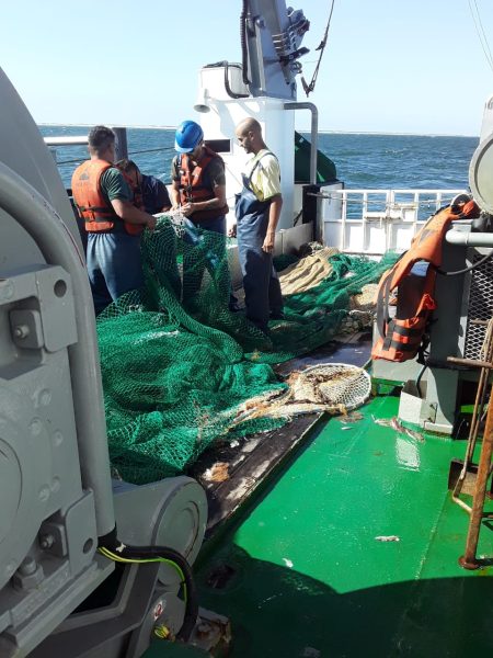 Langostino. El BIP Mar Argentino zarp贸 para iniciar relevamiento costero del recurso