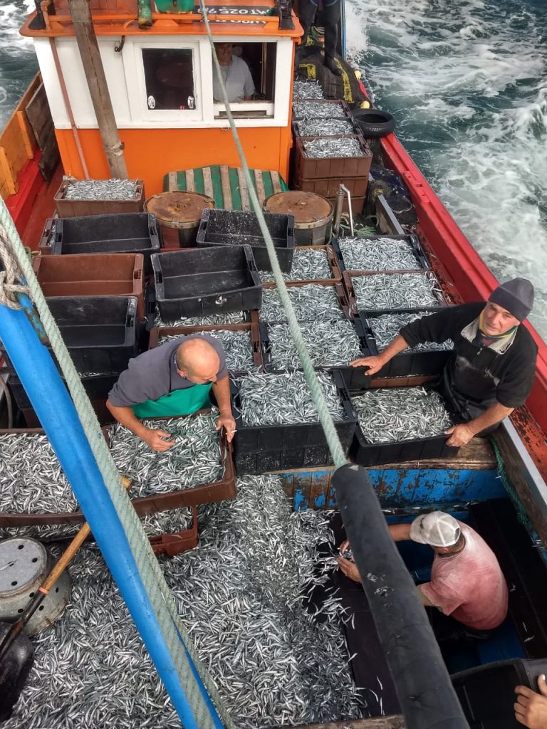 Malestar en la banquina chica. El cornalito divide aguas entre participantes
