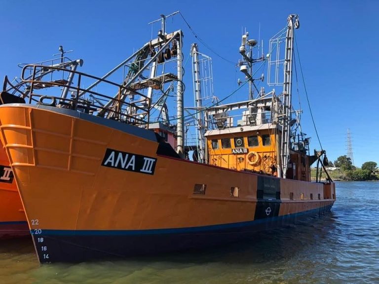 Chubut. Langostino. Costeros-fresqueros frente a una excelente temporada