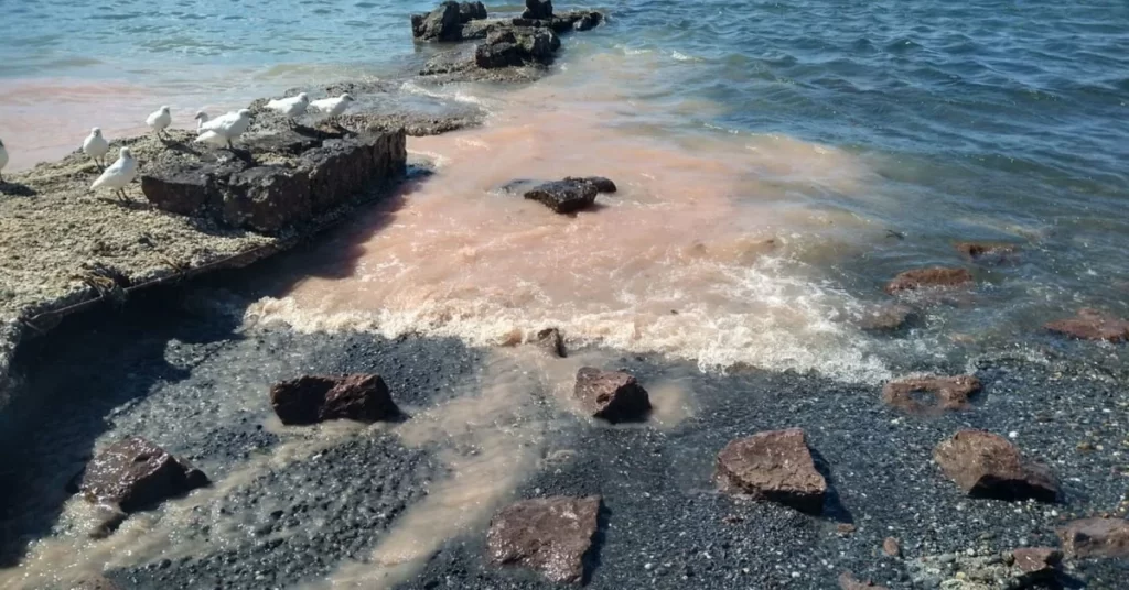Después de un detallado estudio, las empresas pesqueras de Puerto Deseado, deben mejorar los vertidos a la ría