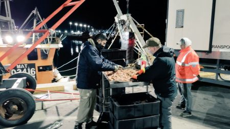 Golpean a un Capitán en el muelle de Rawson. Demoras en la zarpada de la flota pesquera. Reunión URGENTE