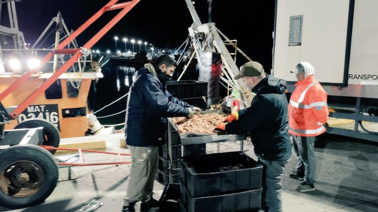 Golpean a un Capit谩n en el muelle de Rawson. Demoras en la zarpada de la flota pesquera. Reuni贸n URGENTE