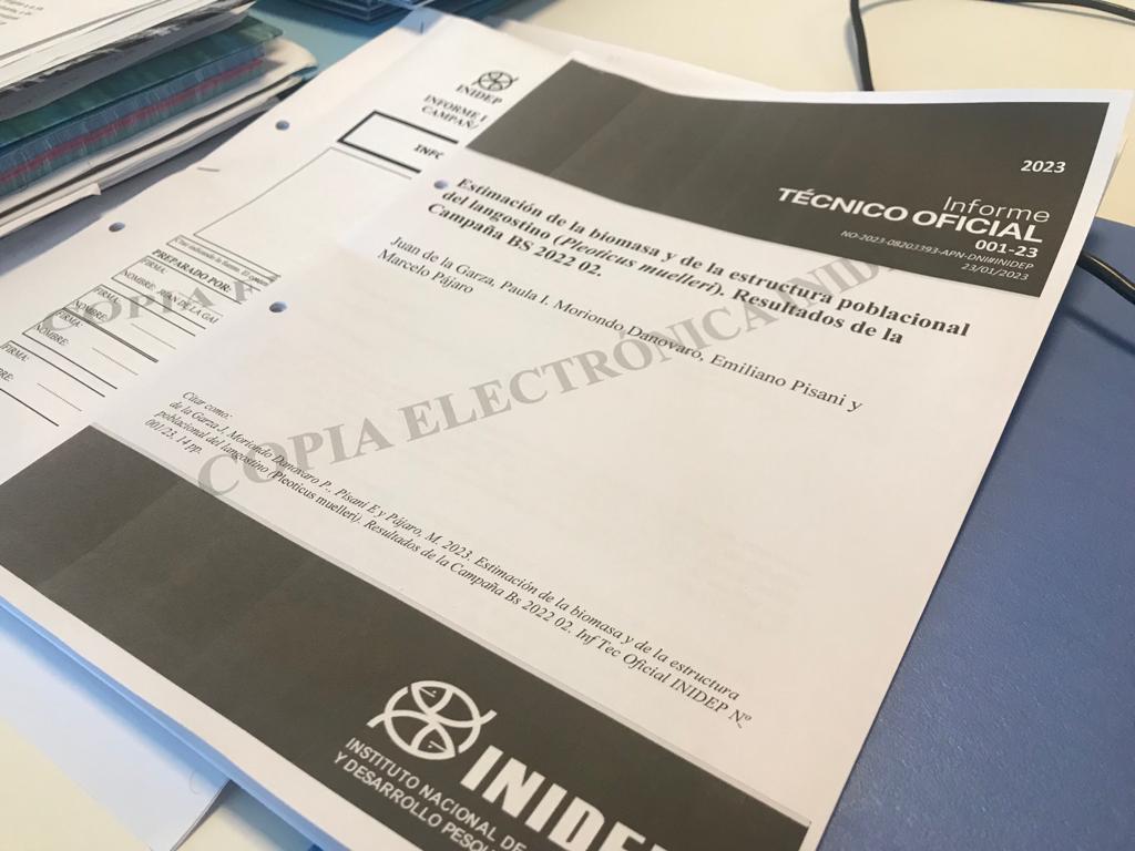 INIDEP presentó el Informe Técnico Oficial de la campaña del BP Bogavante Segundo