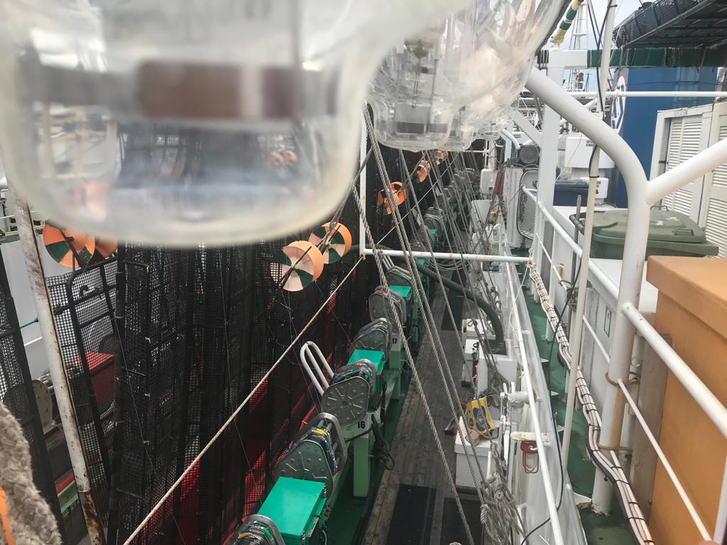 Calamar Illex temporada 2023, bajas capturas y la esperanza centrada al norte del paralelo 44°S