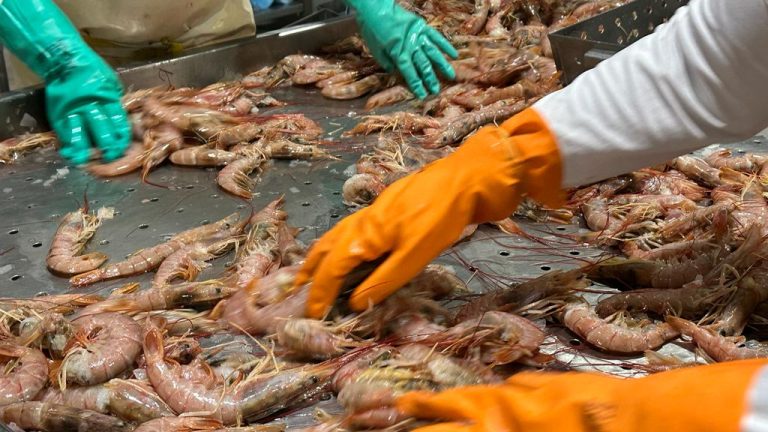 Comodoro Rivadavia. Conflicto laboral pone en riesgo el empleo y la estabilidad del sector manufacturero procesador