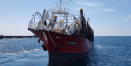 Apertura anticipada de la temporada de Calamar illex 2025 en el Atl谩ntico Sur