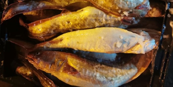 Abadejo, entre preservación del recurso y el poco interés y pericia de capturarlo